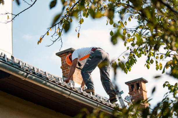 Best Roof Insulation Installation  in Omaha, TX