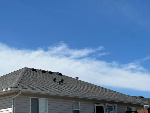 Best Cold Roofs  in Omaha, TX